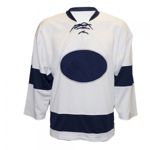 Ice Hockey 08