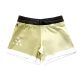 Zephyr MMA Hybrid Shorts