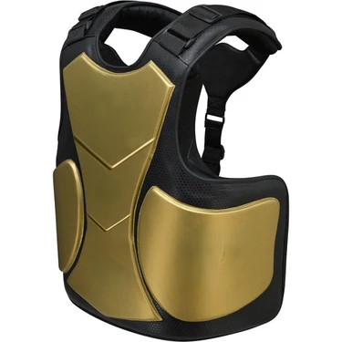 L1 Mark Pro Body Protector
